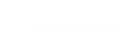 Stellar One Consulting is an SAP Gold Partner with an excellent SAP Business One ERP Software consulting and support reputation.