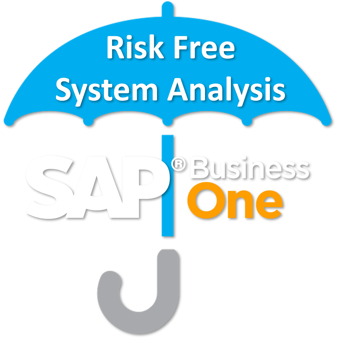get your sap business one risk free system analysis system analysis