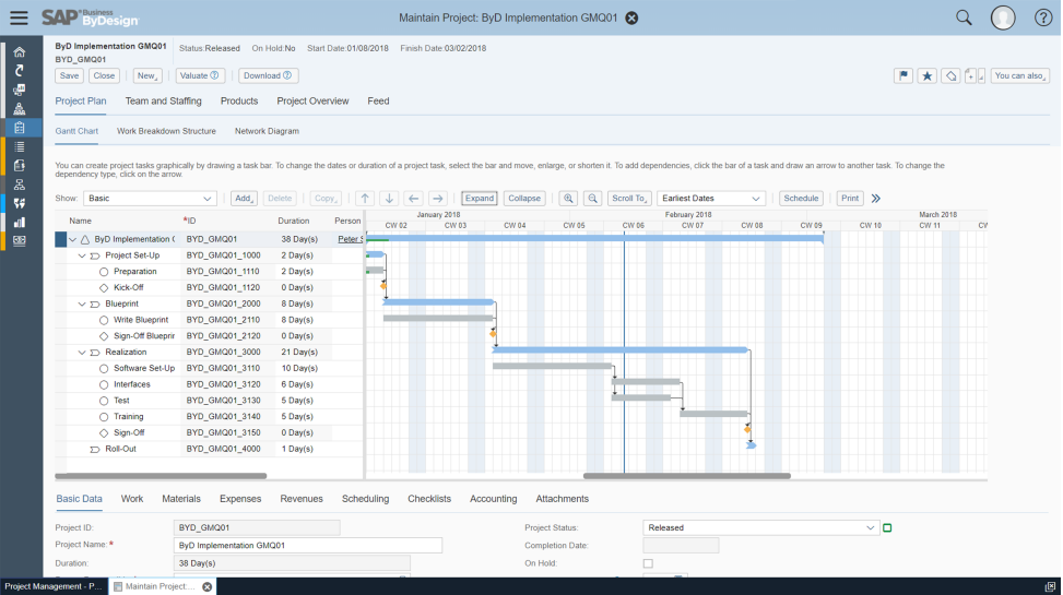 Project Mgmt_Overview Screen